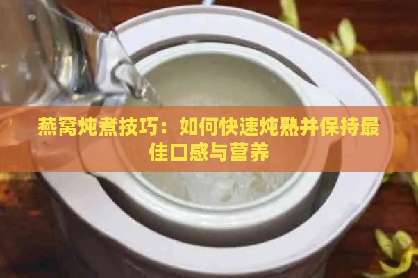 燕窝炖煮技巧：如何快速炖熟并保持更佳口感与营养