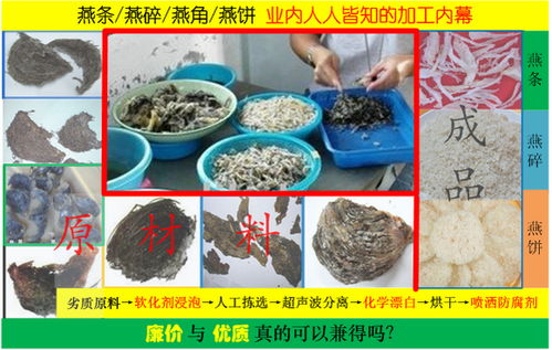 燕窝价格指南：不同品质与价位分析，全面解析如何挑选高性价比燕窝