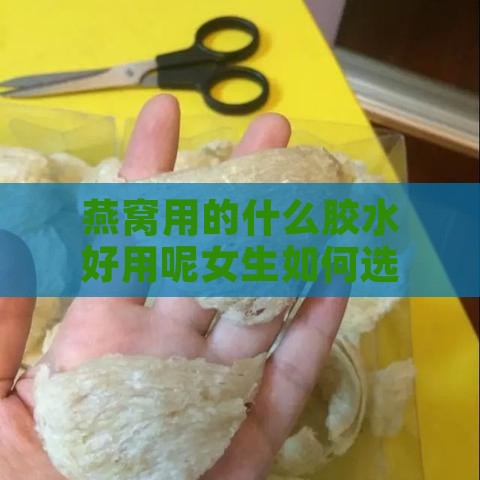 燕窝用的什么胶水好用呢女生如何选择与使用适用她们的胶水