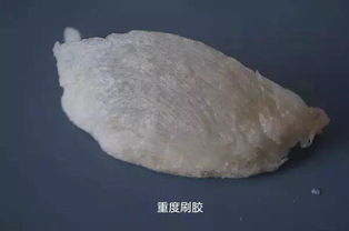 燕窝用的什么胶水好用呢