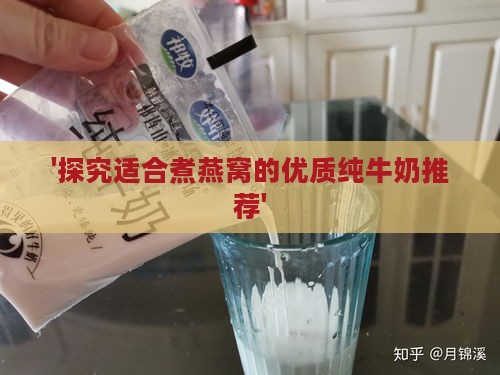 '探究适合煮燕窝的优质纯牛奶推荐'