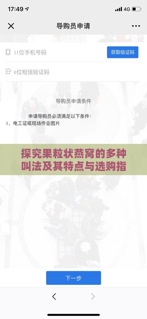 探究果粒状燕窝的多种叫法及其特点与选购指南