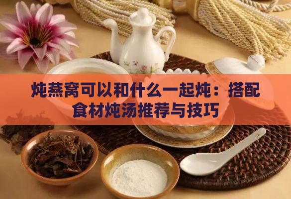 炖燕窝可以和什么一起炖：搭配食材炖汤推荐与技巧