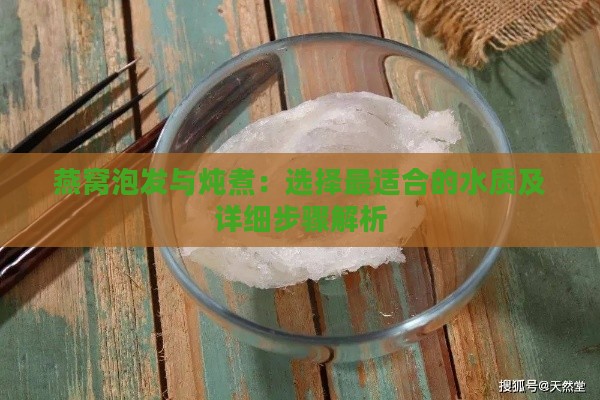 燕窝泡发与炖煮：选择最适合的水质及详细步骤解析