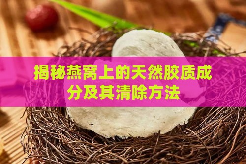 揭秘燕窝上的天然胶质成分及其清除方法