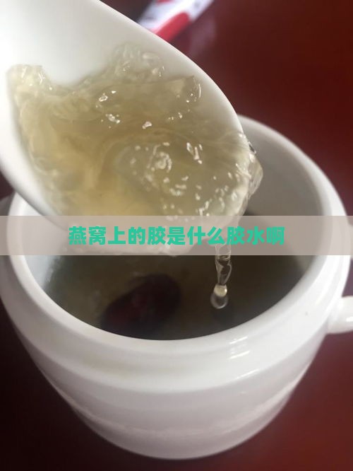 燕窝上的胶是什么胶水啊