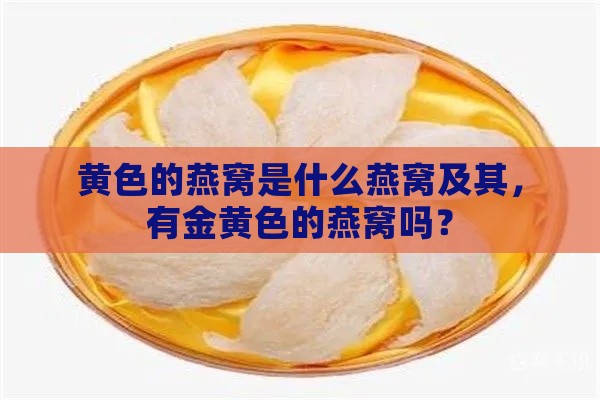 黄色的燕窝是什么燕窝及其，有金黄色的燕窝吗？