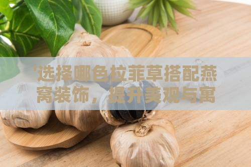 '选择哪色拉菲草搭配燕窝装饰，提升美观与寓意'