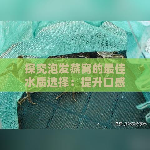 探究泡发燕窝的更佳水质选择：提升口感与营养的全方位指南