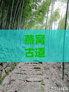 燕窝古道来源是什么意思