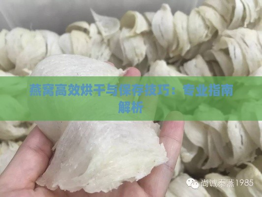 燕窝高效烘干与保存技巧：专业指南解析