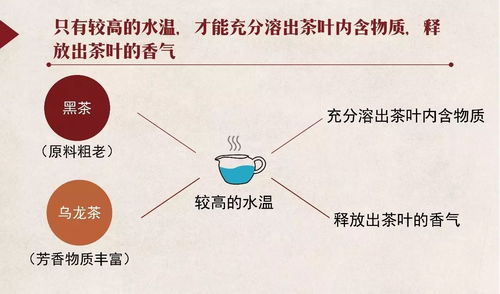 燕窝中的酸性成分在小肠转化为有益物质的探究