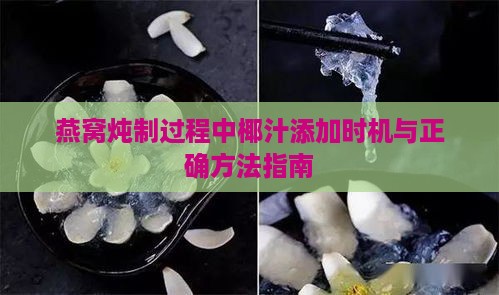 燕窝炖制过程中椰汁添加时机与正确方法指南