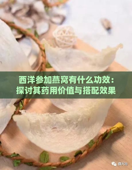 西洋参加燕窝有什么功效：探讨其药用价值与搭配效果