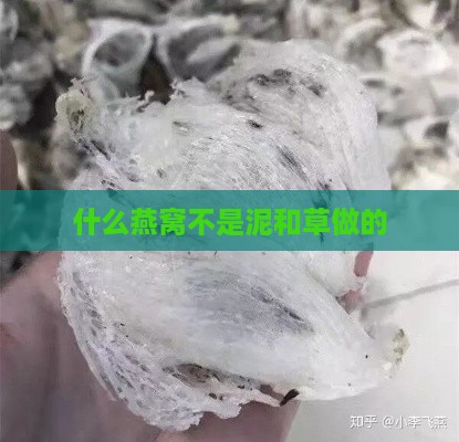 什么燕窝不是泥和草做的