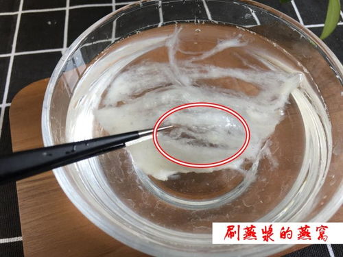 探究各种燕窝泡发方法与常见燕窝品种详解