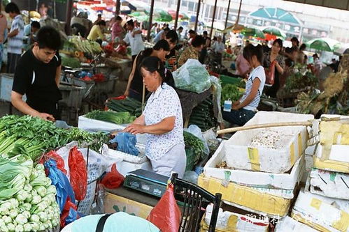 徐水哪里有卖的生纸、零食批发点及水果市场汇总