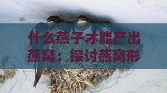 什么燕子才能产出燕窝：探讨燕窝形成与筑巢燕子之谜