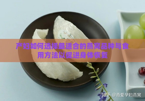 产妇如何选择最适合的燕窝品种与食用方法以促进身体恢复