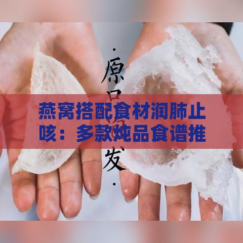 燕窝搭配食材润肺止咳：多款炖品食谱推荐与功效解析