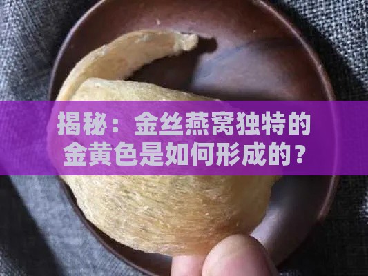 揭秘：金丝燕窝独特的金黄色是如何形成的？