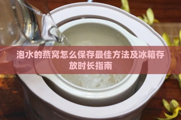 泡水的燕窝怎么保存更佳方法及冰箱存放时长指南