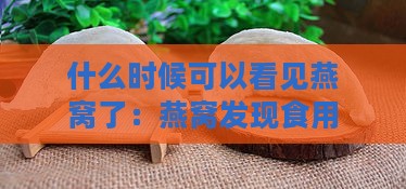 什么时候可以看见燕窝了：燕窝发现食用与收获时间探究