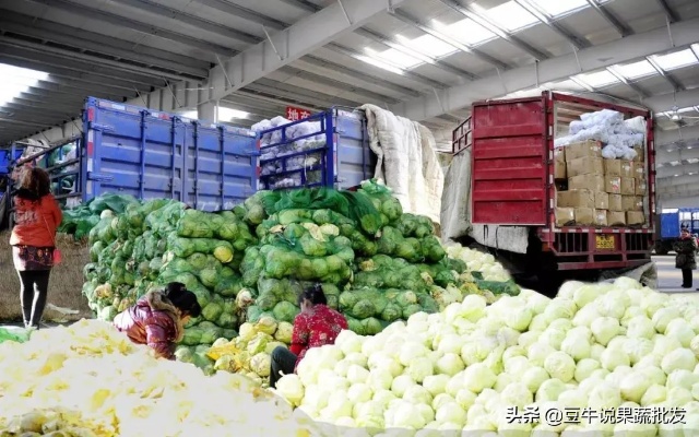 徐水地区水果蔬菜场指南：精选优质批发商信息