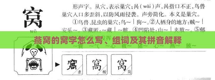 燕窝的窝字怎么写、组词及其拼音解释