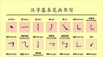 详解汉字窝的正确笔顺与书写步骤：全面涵盖笔顺查询及常见相关问题解答