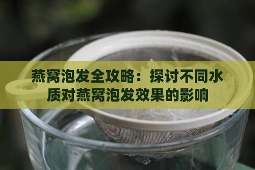 燕窝泡发全攻略：探讨不同水质对燕窝泡发效果的影响