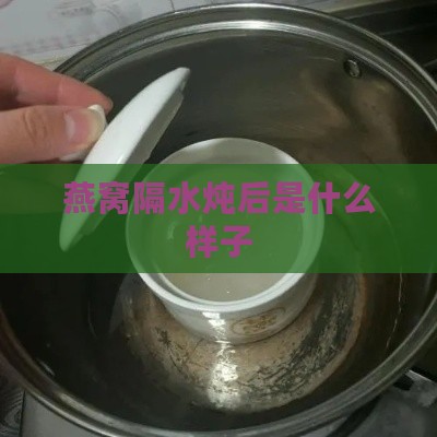 燕窝隔水炖后是什么样子