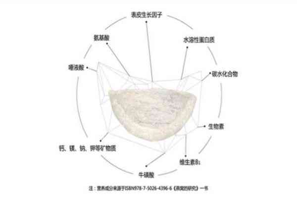 燕窝里的物质是什么意思