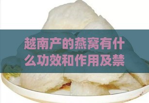 越南产的燕窝有什么功效和作用及禁忌