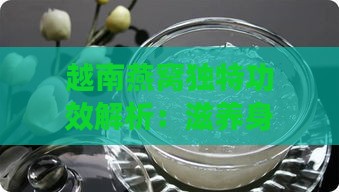 越南燕窝独特功效解析：滋养身心多重作用探究