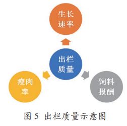 想卖燕窝怎么找货源、拓展客源及盈利策略