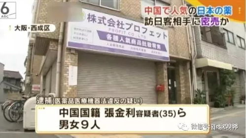 揭秘大龙开设的燕窝店：店名、地址、特色与服务全解析