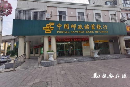 揭秘大龙开设的燕窝店：店名、地址、特色与服务全解析