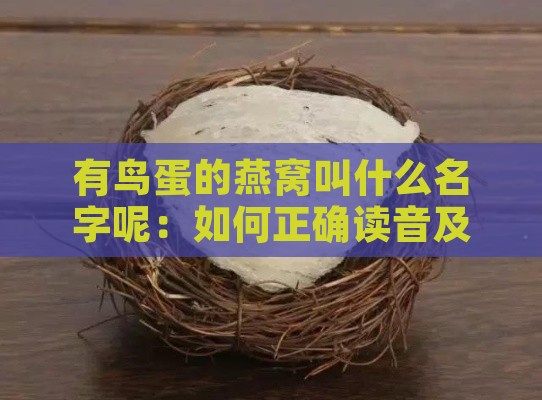 有鸟蛋的燕窝叫什么名字呢：如何正确读音及名称解释