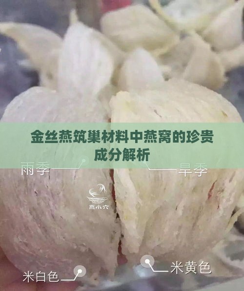 金丝燕筑巢材料中燕窝的珍贵成分解析