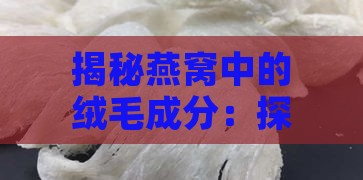 揭秘燕窝中的绒毛成分：探究其来源与影响