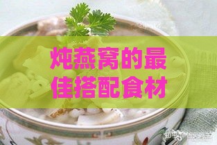 炖燕窝的更佳搭配食材与炖煮方法全解析