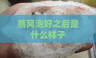 燕窝泡好之后是什么样子