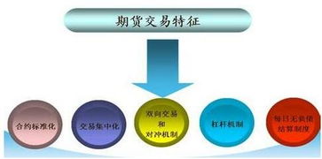 燕窝销售必备：详解办理燕窝销售手续的关键步骤