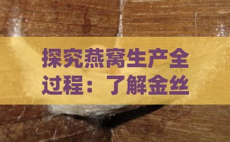 探究燕窝生产全过程：了解金丝燕及其筑巢行为