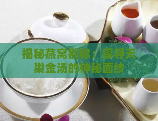 揭秘燕窝别称：探寻天巢金汤的神秘面纱