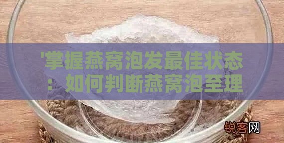 '掌握燕窝泡发更佳状态：如何判断燕窝泡至理想软度'