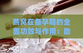 燕窝在备孕期的全面功效与作用：助孕、养生、营养解析