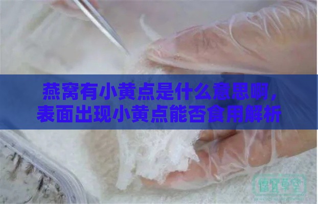 燕窝有小黄点是什么意思啊，表面出现小黄点能否食用解析