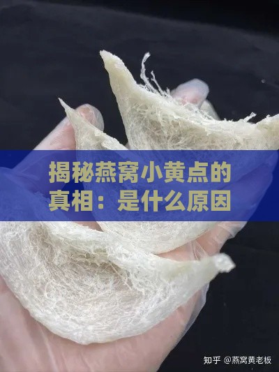 揭秘燕窝小黄点的真相：是什么原因导致的？